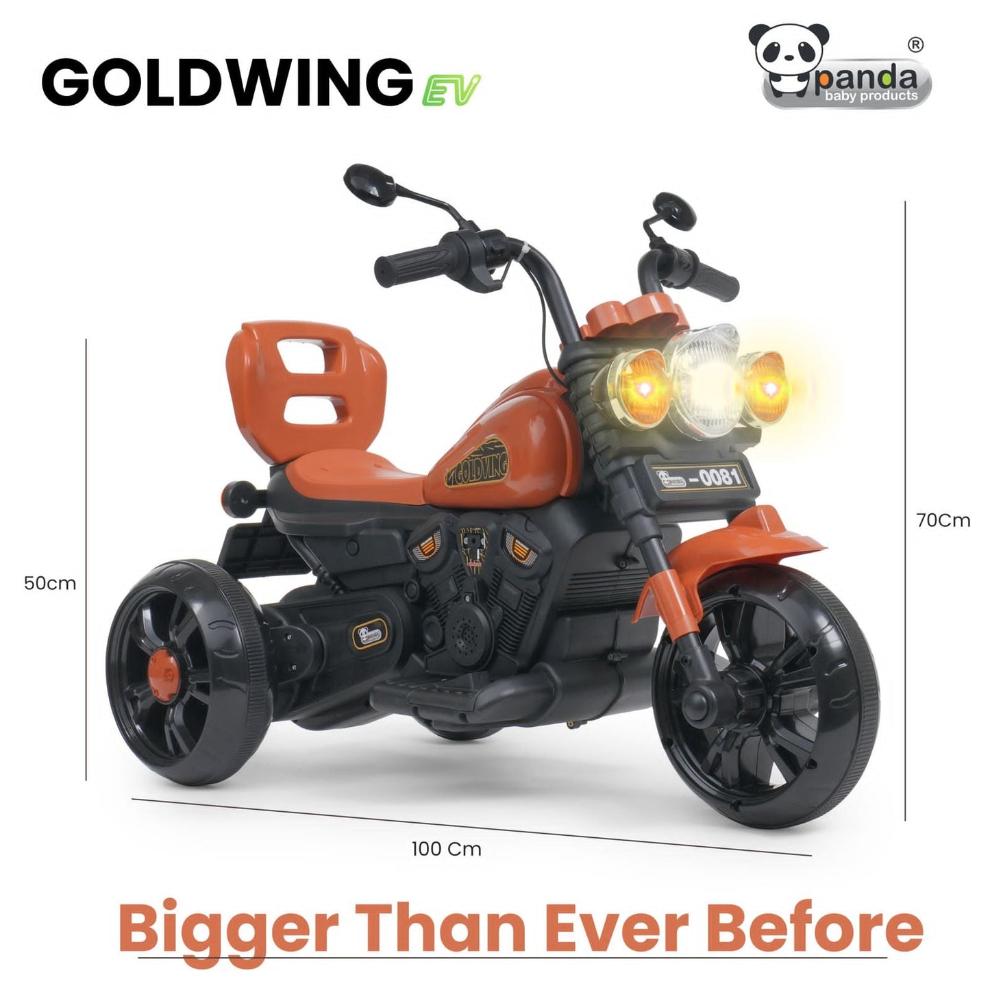 EV HAND RACE BIKE BULLET (GOLDVING 12VOLT)