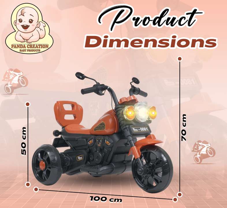 EV HAND RACE BIKE BULLET (GOLDVING 12VOLT)